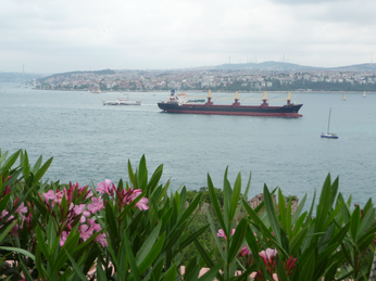 P1040340.JPG 3456x2592 index 96